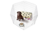 ENCLOS PUPPY JAX ARGENT L